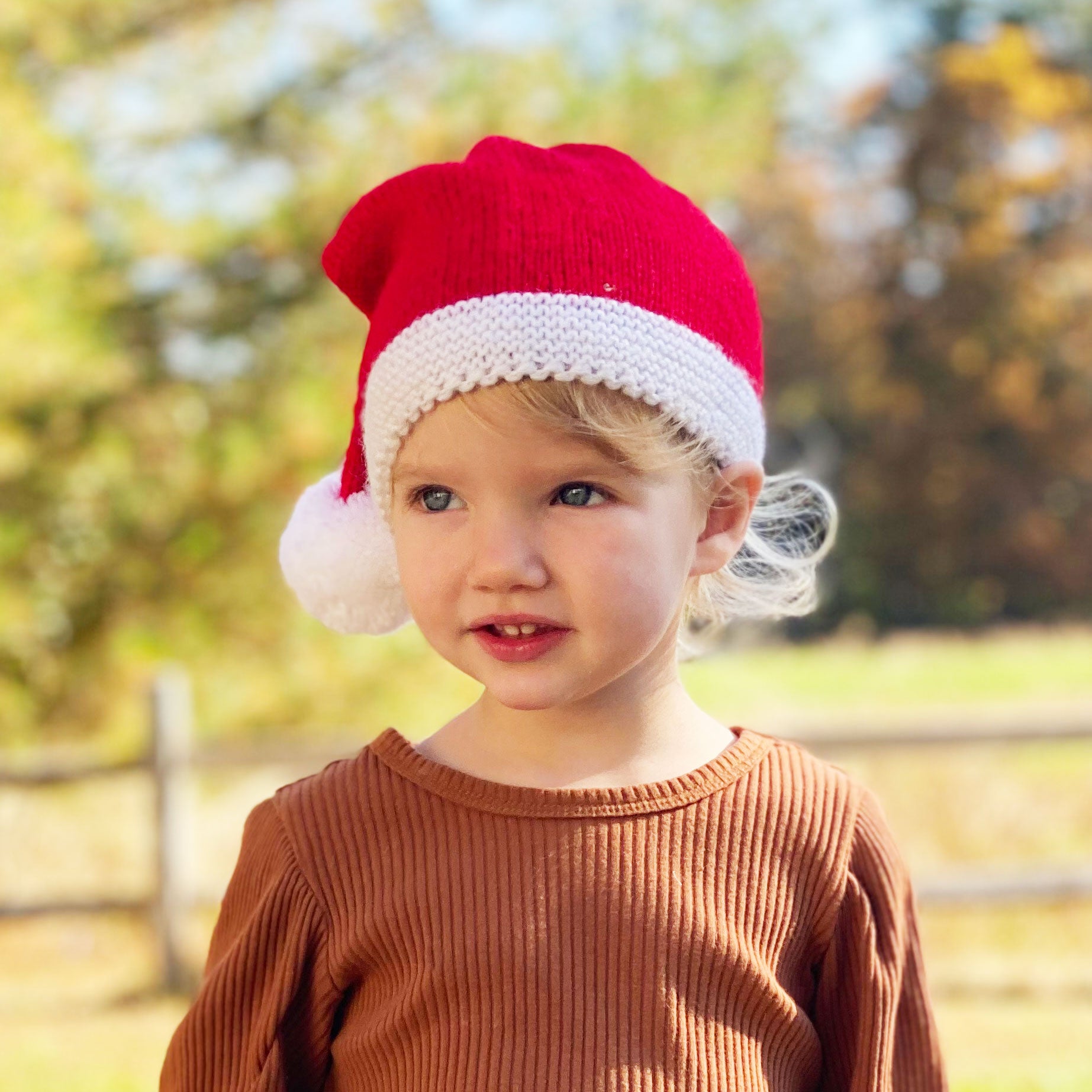 Santa Caps and Mittens